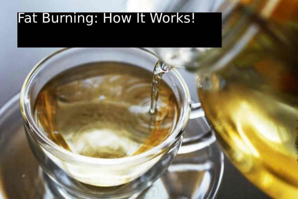 Fat Burning_ How It Works!
